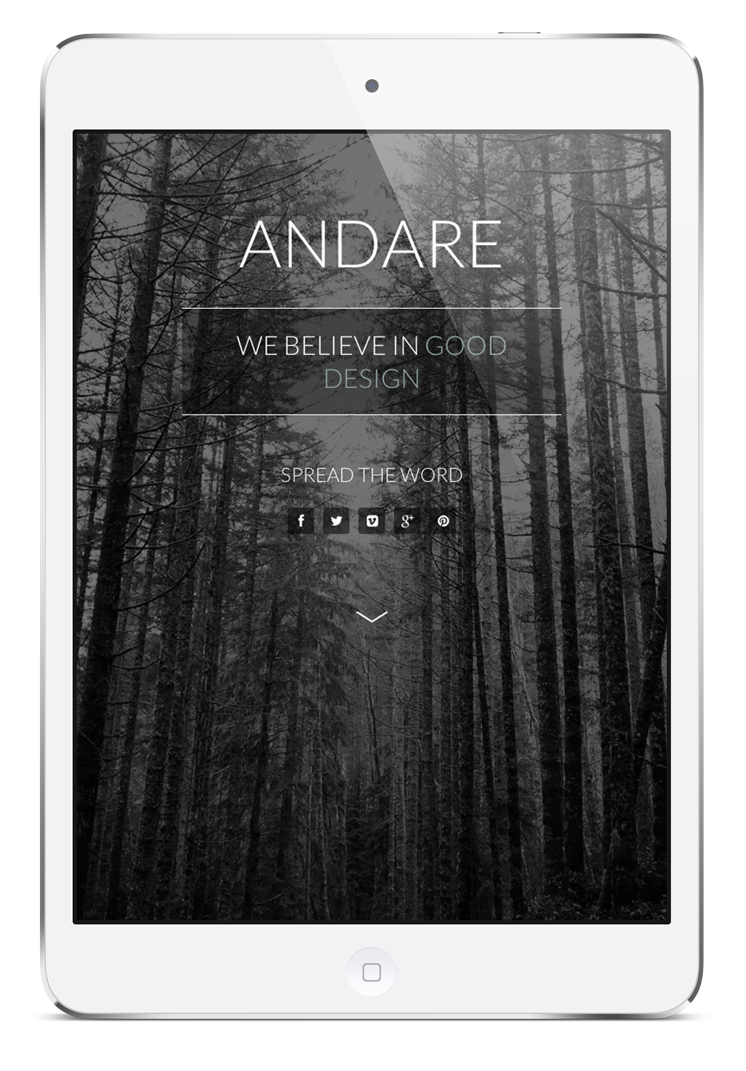iPad Image